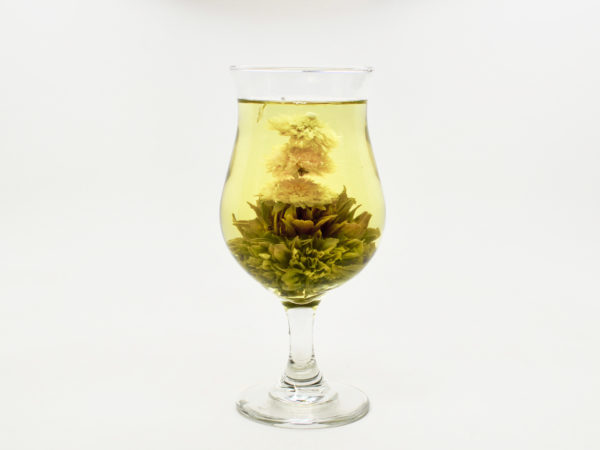 Chrysanthemum Green blooming display tea, blooming and infusing into tea in a tall glass with white background.