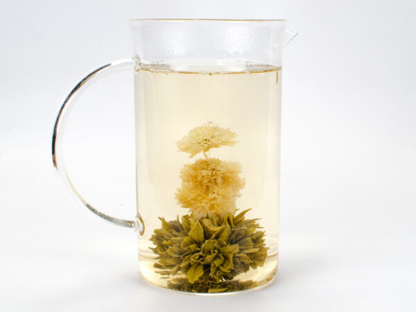 A full glass pitcher holding a fully bloomed ball of green tea with a column of large white chrysanthemum flowers springing from the center.