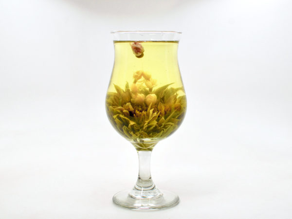 Rose Jasmine blooming green display tea, blooming and infusing into tea in a tall glass with white background.